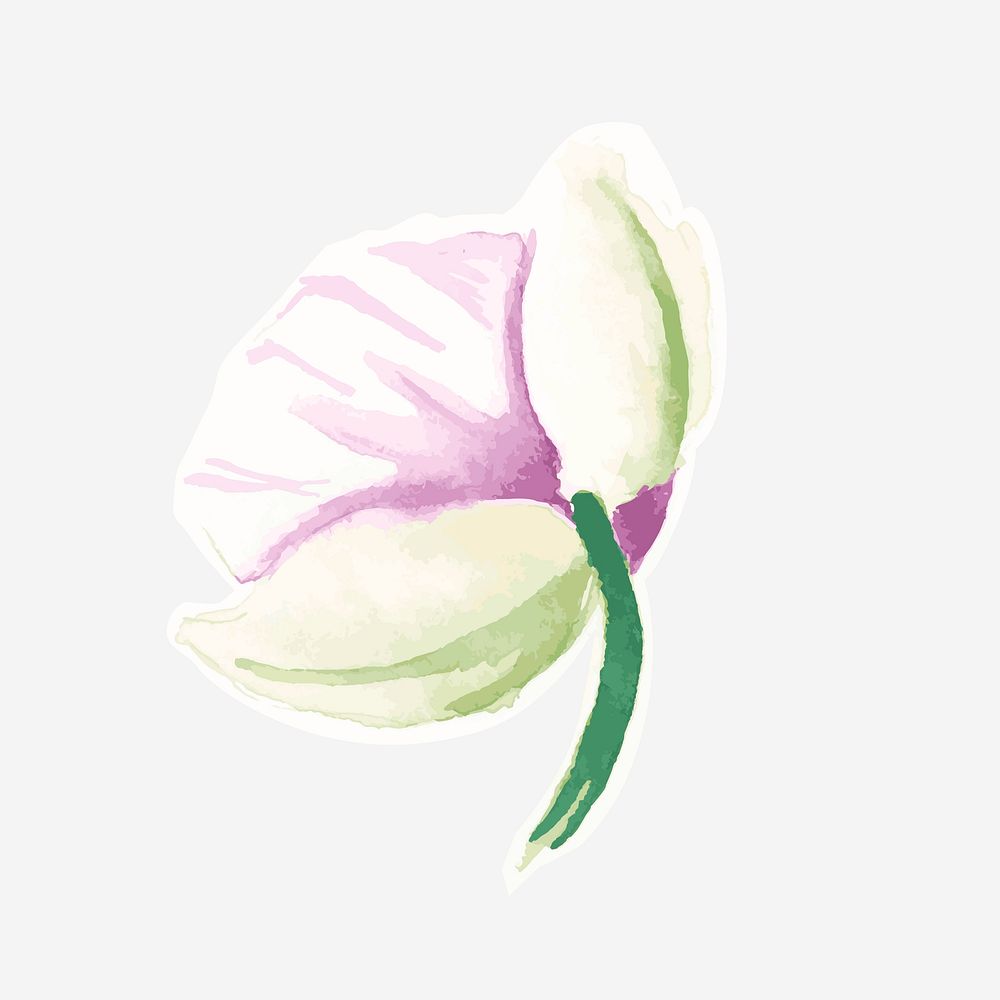 Beautiful floral hand drawn watercolor flower