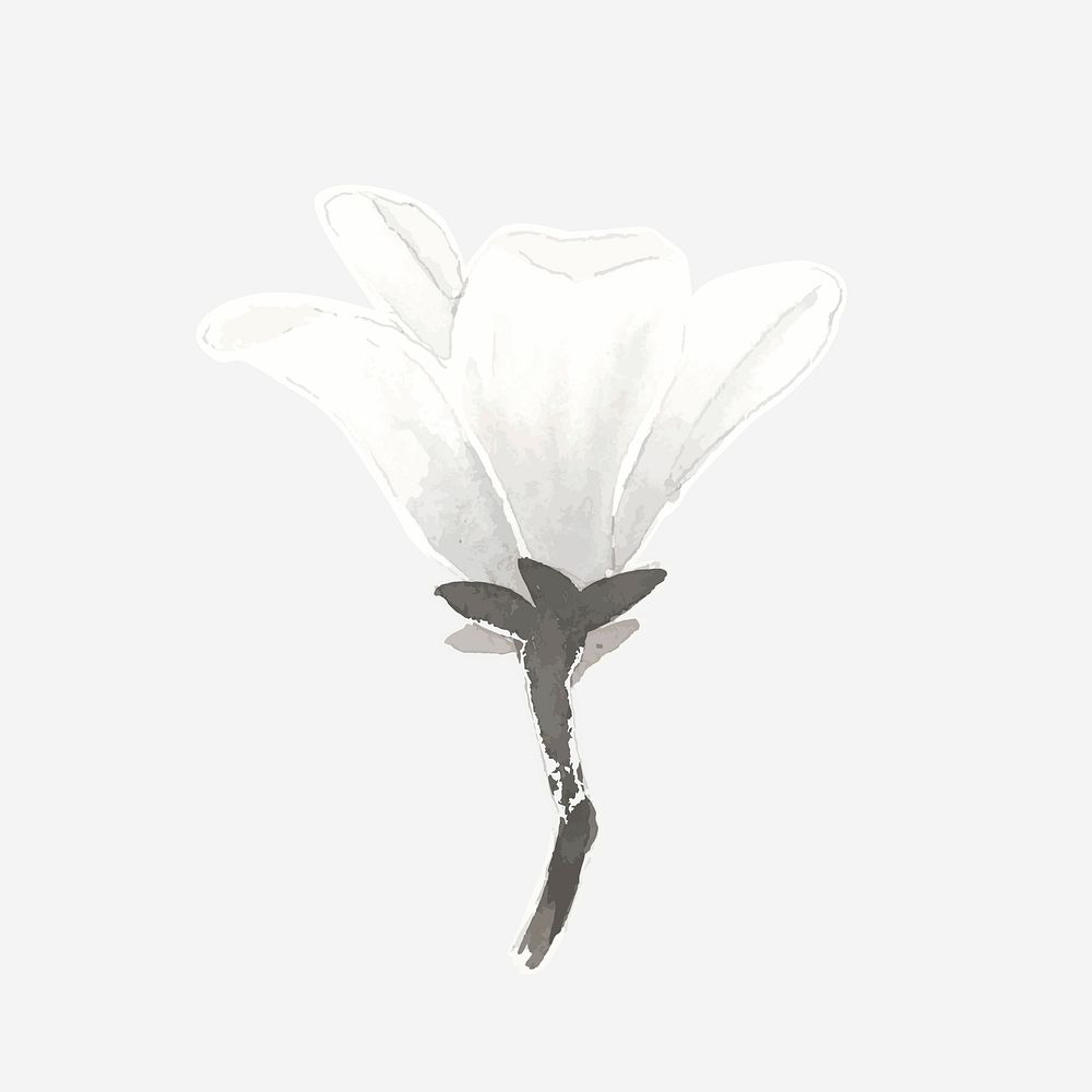 Watercolor white lily vector hand drawn design element