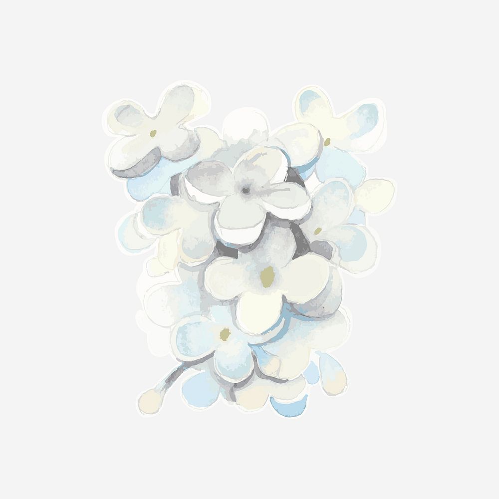 Watercolor white lilac vector hand drawn sticker element