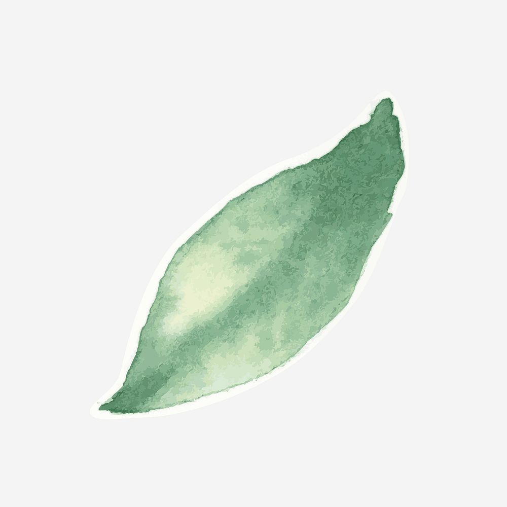 Green leaf psd botanical drawing element graphic