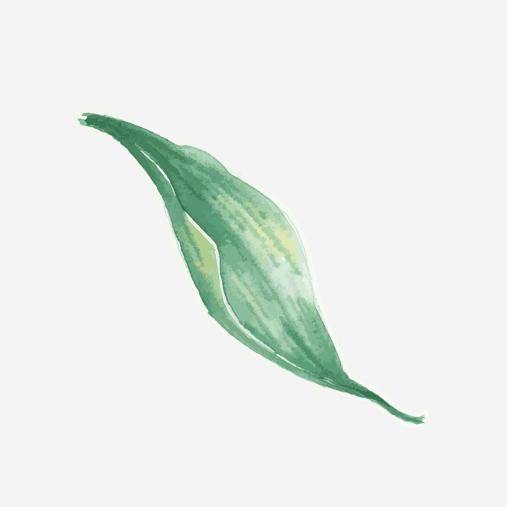 Green leaf botanical psd drawing element graphic