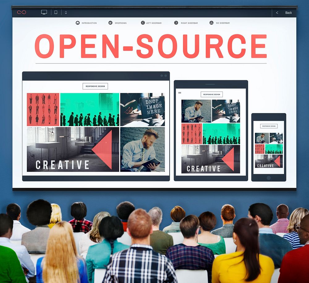 Open Source Developer Program Software User Concept