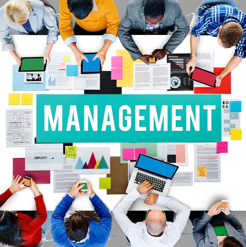 Management Mentor Organization Strategy Roles Concept