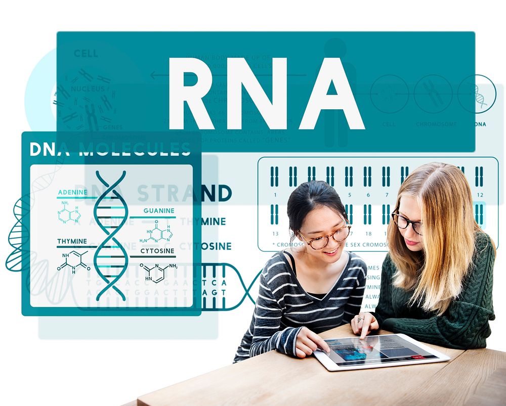 RNA Ribonucleic Physical Molecule Evolution Concept
