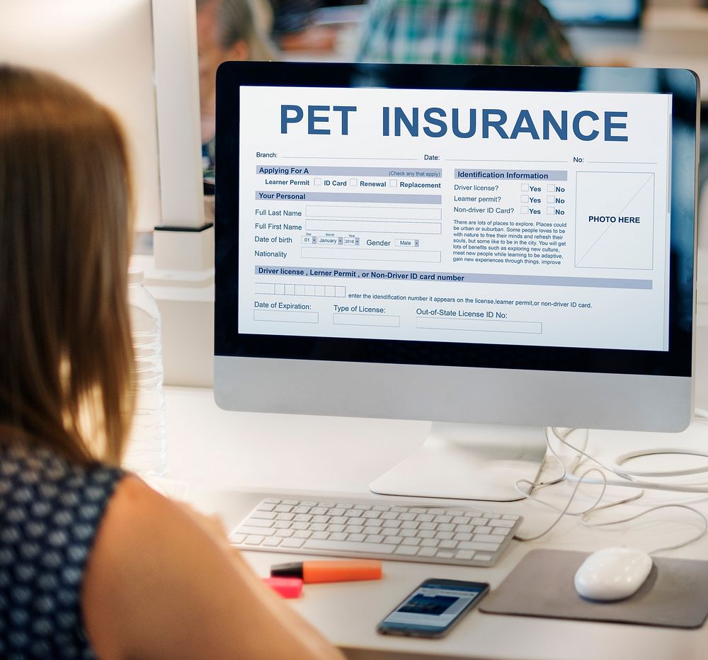 Pet Insurance Form Animal Doctor Concept