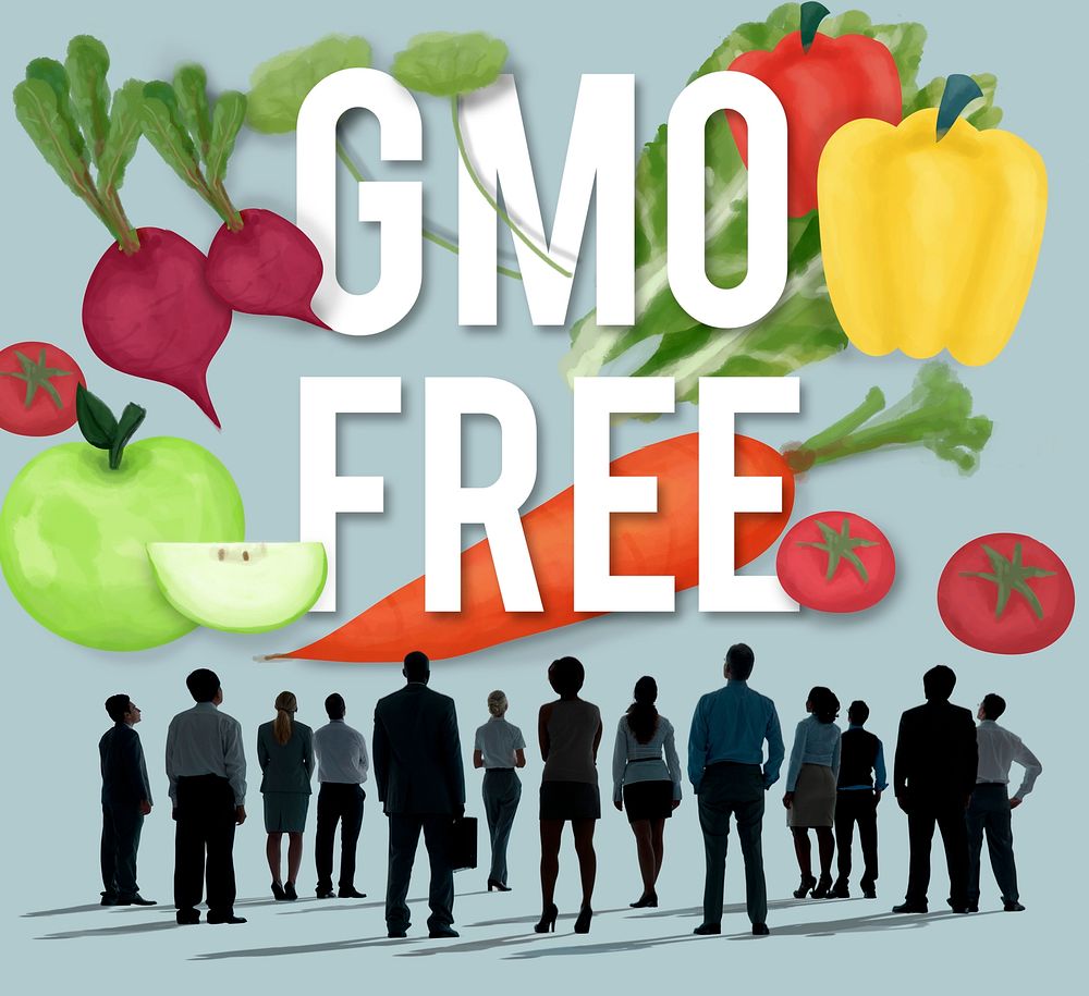 GMO Free Genetically Modified Organism Healthy Concept