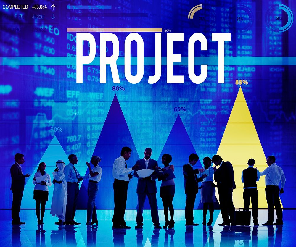 Project Plan Program Activity Strategy Concept