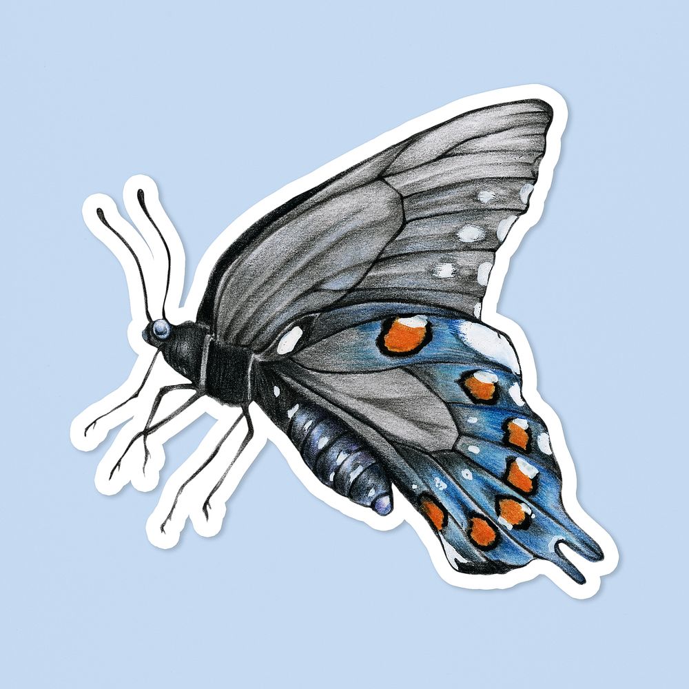 Vintage blue butterfly drawing psd illustration