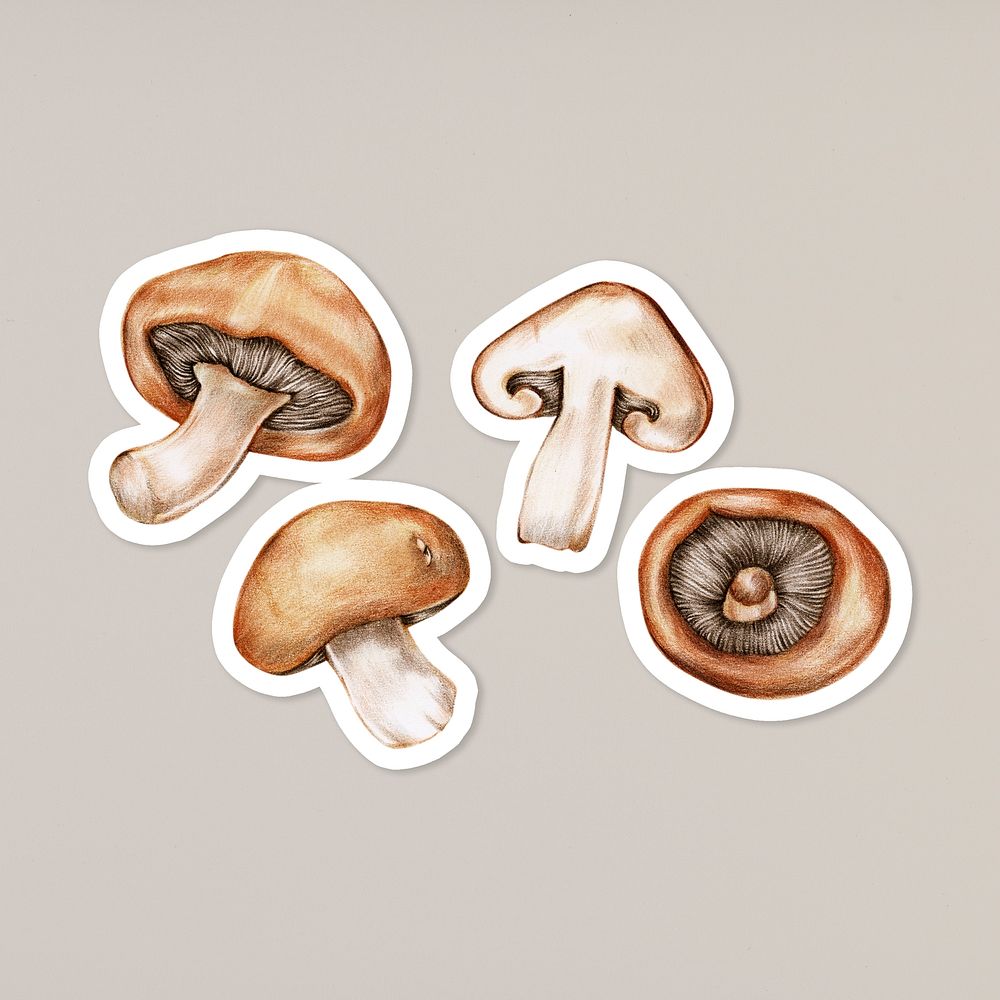 Mushroom sticker psd organic botanical illustration