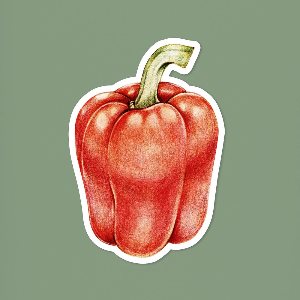 Vintage red bell pepper psd illustrated sticker