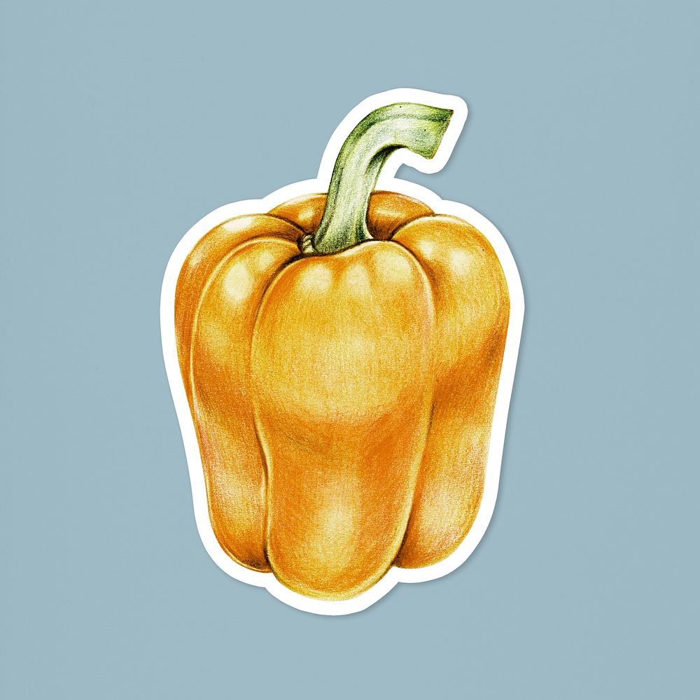 Vintage yellow bell pepper psd illustrated sticker