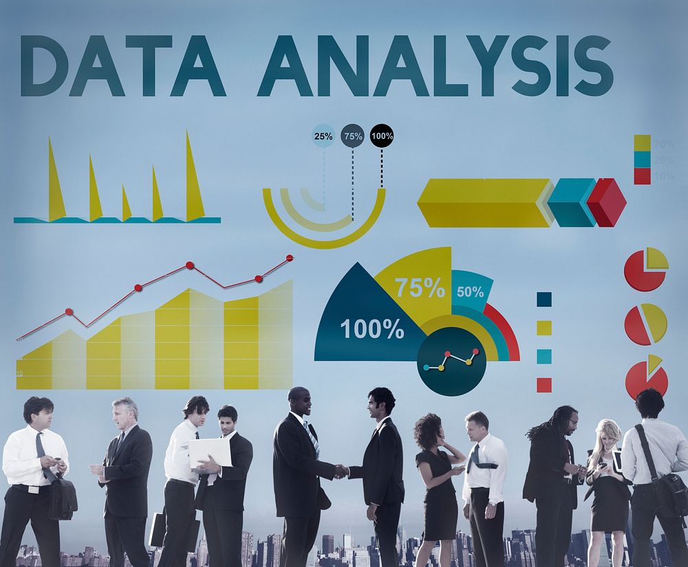 Data Analysis Percentage Business Chart Concept