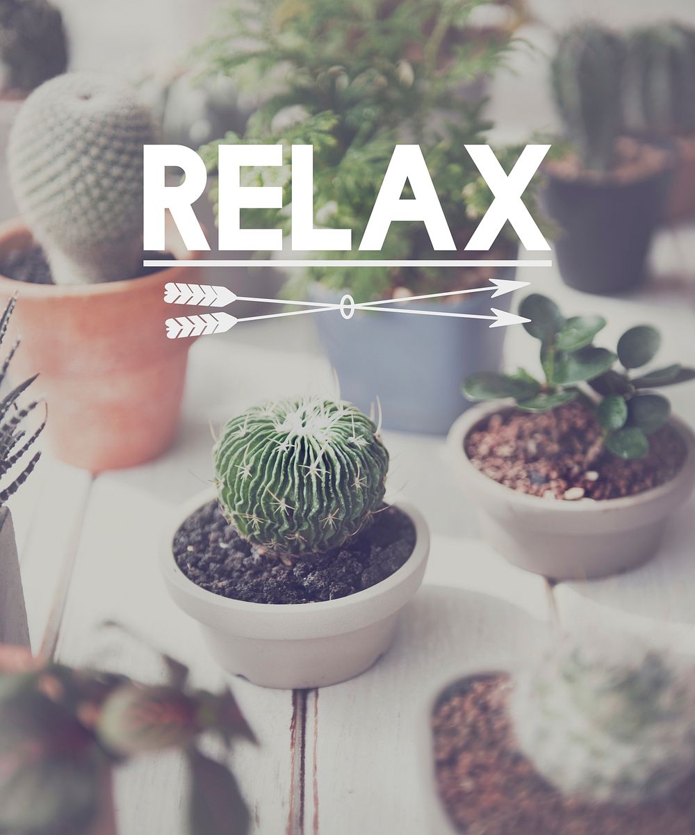 Relaxation Relax Chill Out Peace Resting Serenity Concept