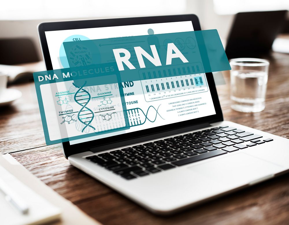 RNA Ribonucleic Physical Molecule Evolution Concept