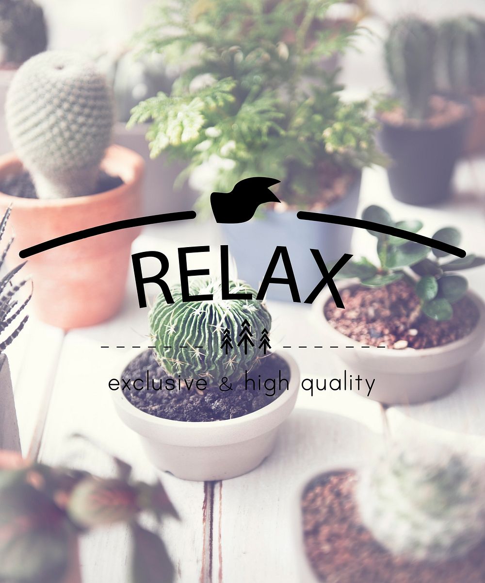 Relax Relaxation Rest Chill Peace Vacation Life Concept