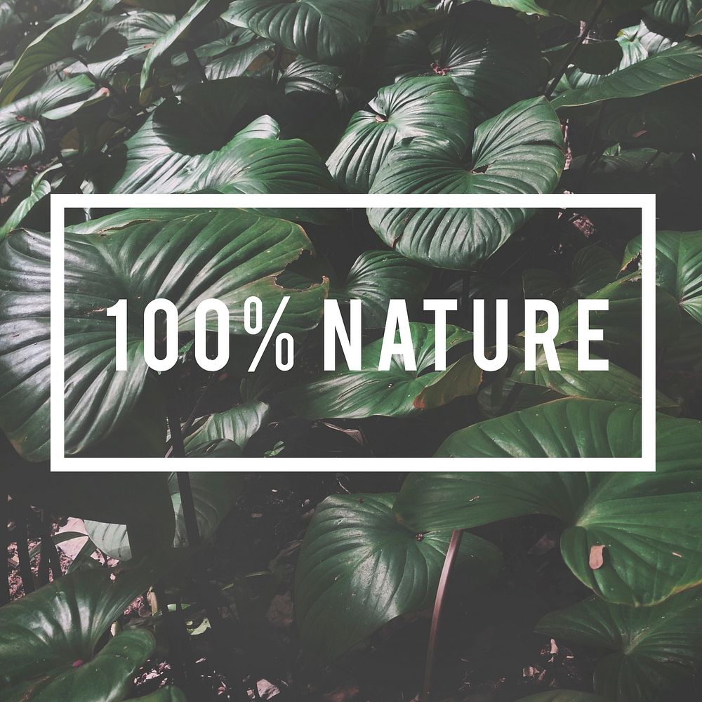 Botanic Nature Tropical Green Word Graphic