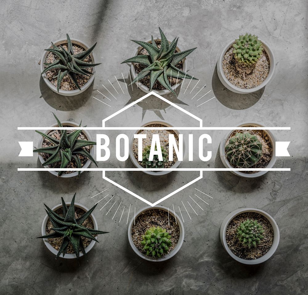Botanic Nature Plant Environmental Conservation