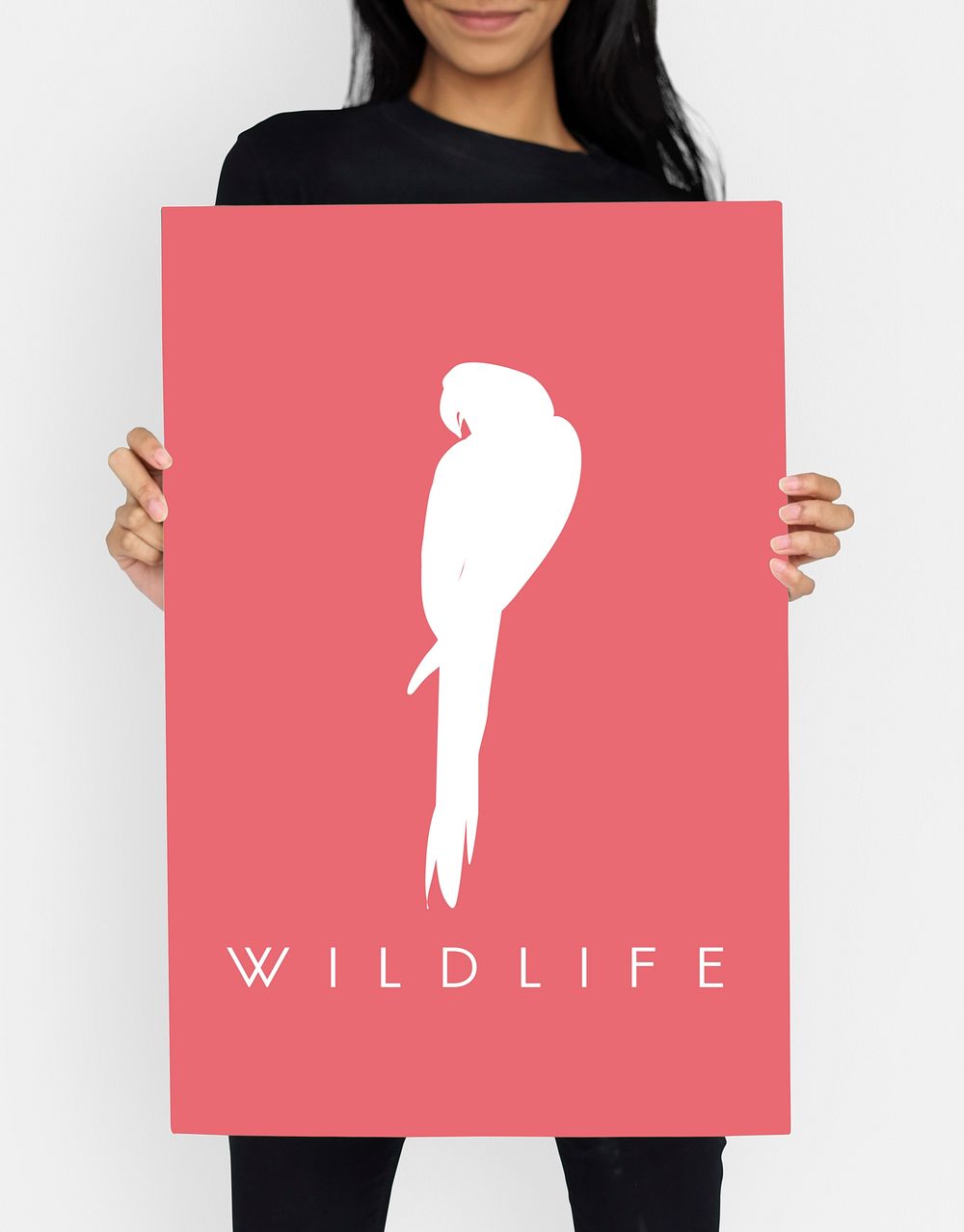 Animal Wildlife Word with Parrot Graphic