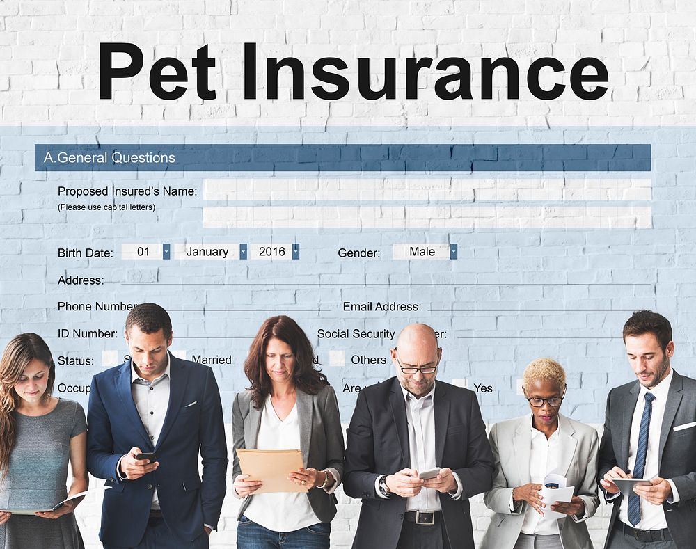 Pet Insurance Owner Puppy Safety Policy Animal Concept