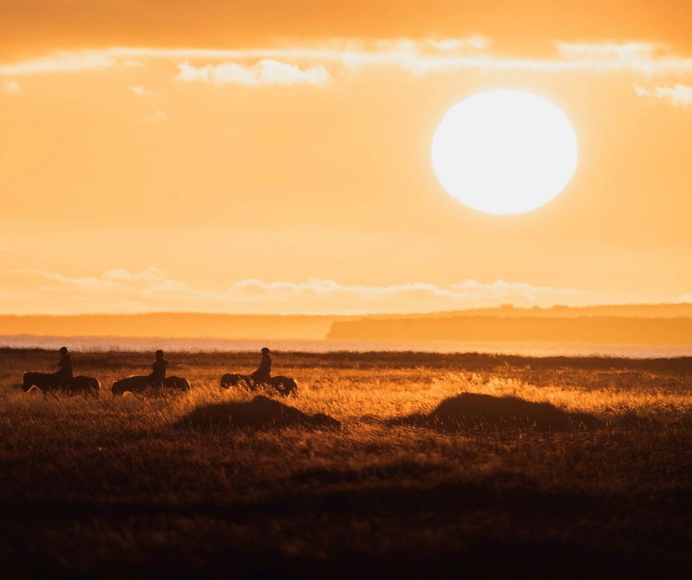 Trail riding on Icelandic horses at sunset