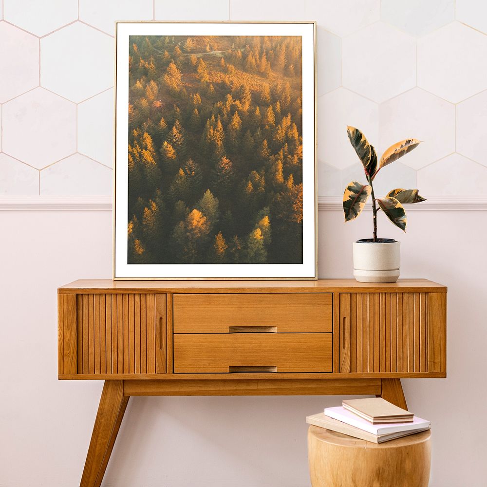 Framed forest, nature photo, aesthetic home decoration