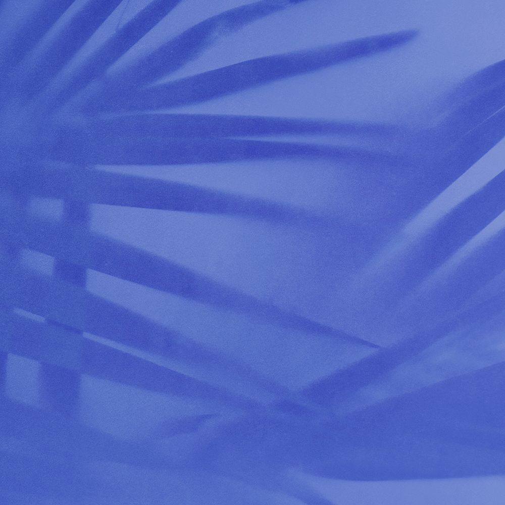 Palm leaves shadow on blue background