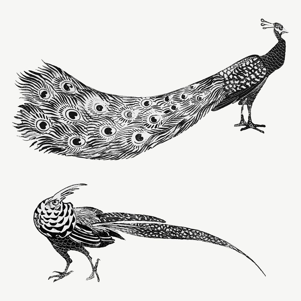 Vintage peacock and cock art print vector, remix from artworks by Theo van Hoytema