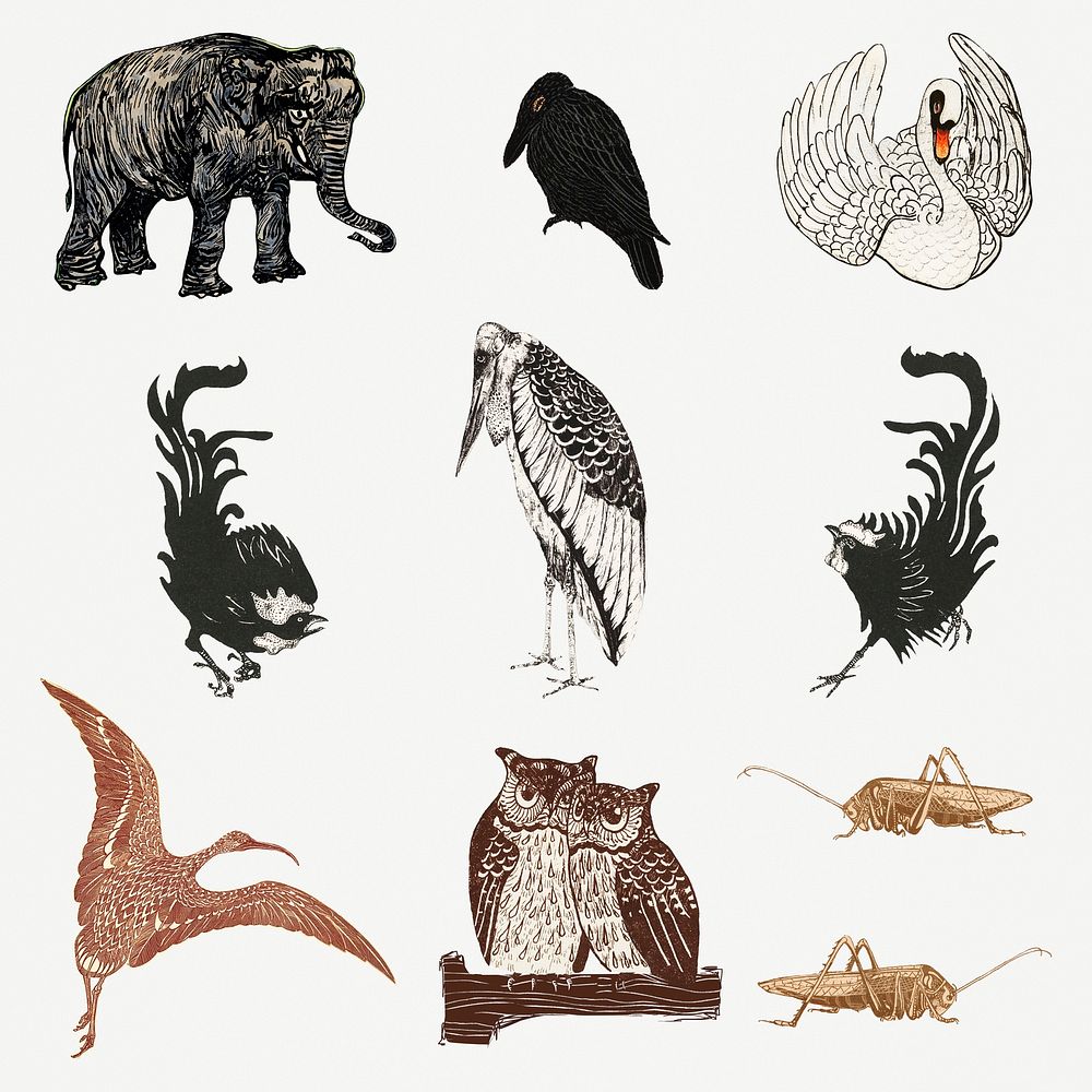 Vintage animal art print, remix from artworks by Theo van Hoytema