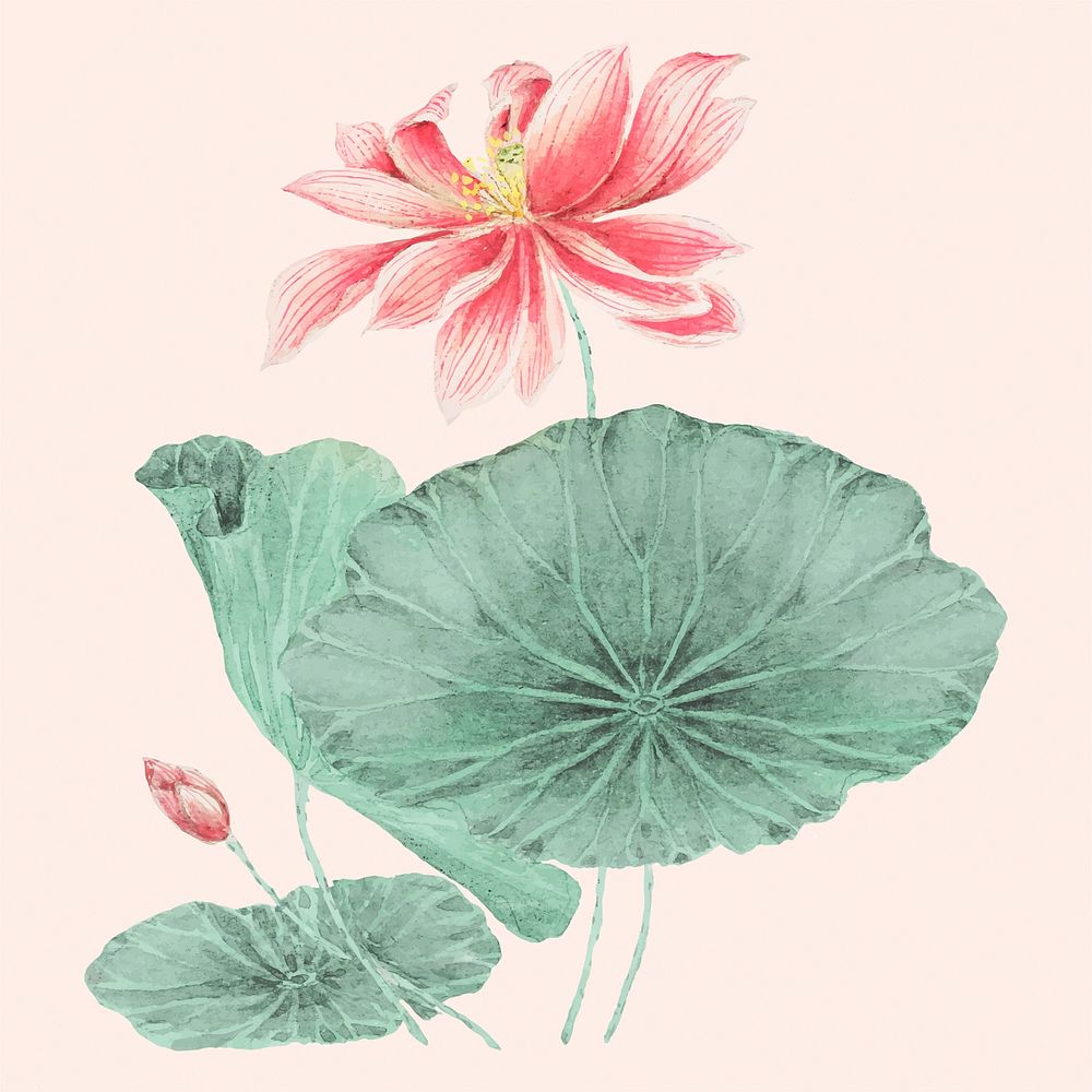 Vintage Japanese lotus vector art print, remix from artworks by Megata Morikaga
