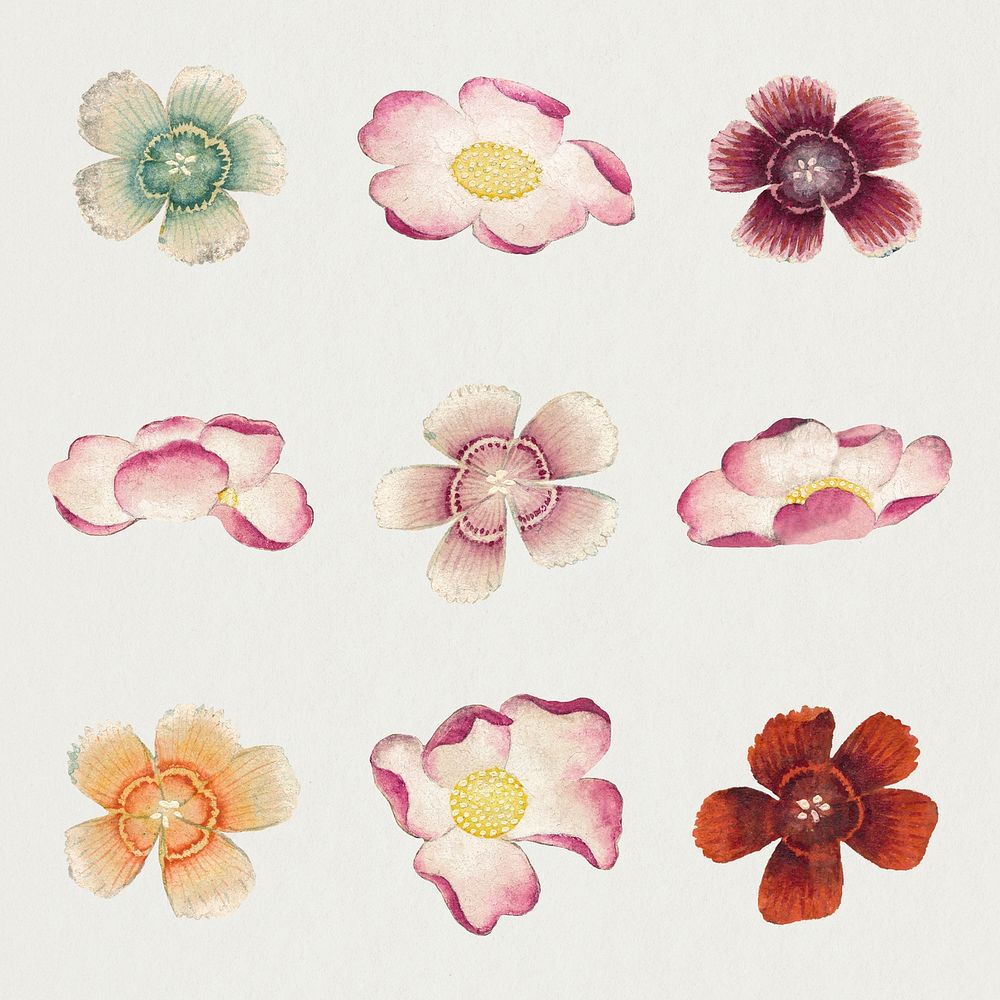 Chinese flower mallow and Sweet William set, remix from artworks by Zhang Ruoai