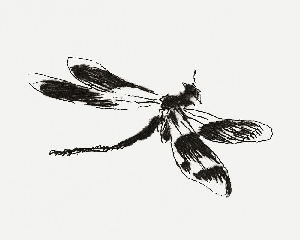 Dragonfly psd vintage insect illustration, remixed from artworks by &Eacute;douard Manet