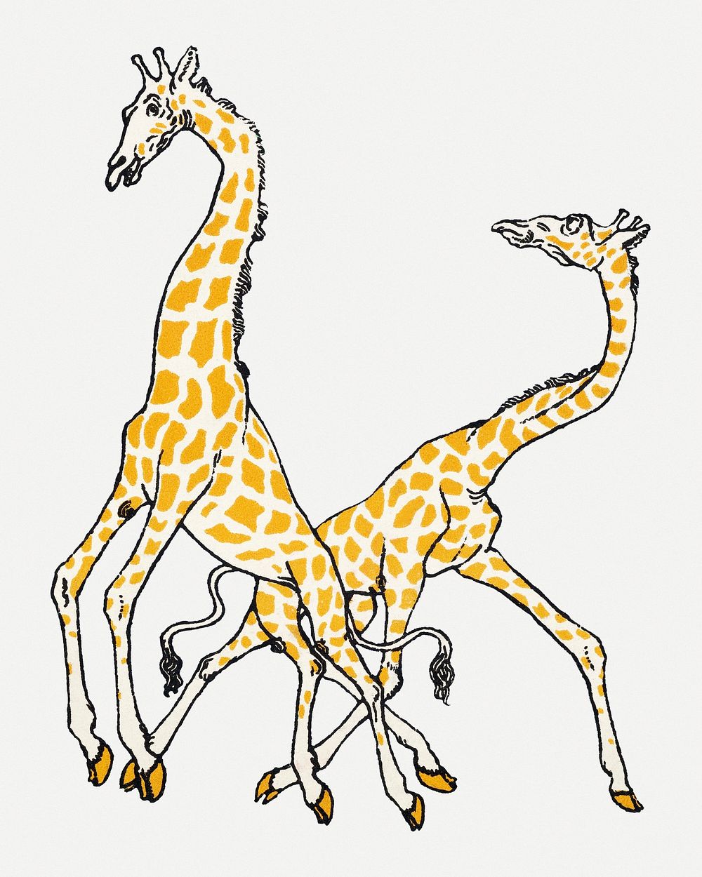 Vintage giraffes illustration, remixed from artworks by Moriz Jung