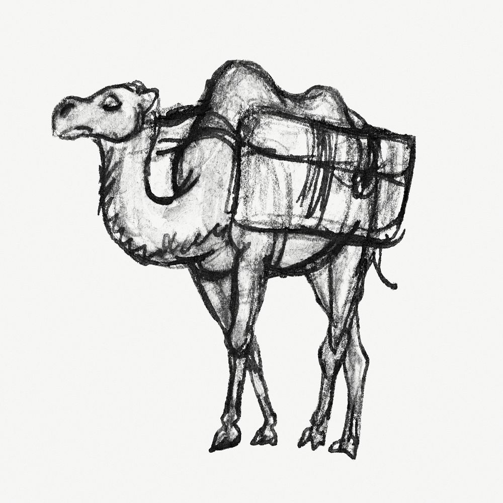 Camel vintage drawing, remixed from artworks from Leo Gestel