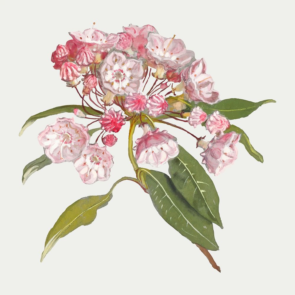 Antique blossom vector design element, remixed from artworks by Samuel Colman