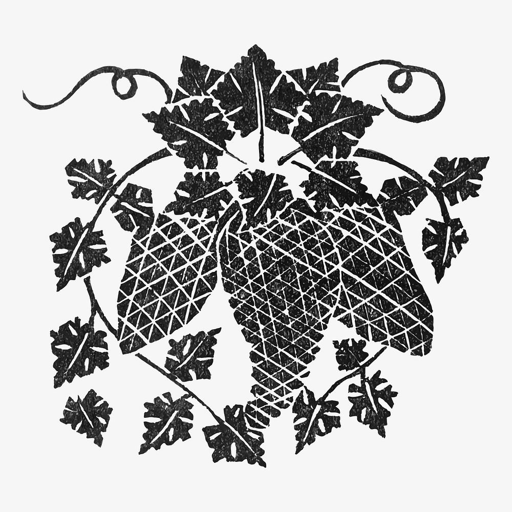 Grapes vector in vintage style print, remixed from artworks by Gerrit Willem Dijsselhof