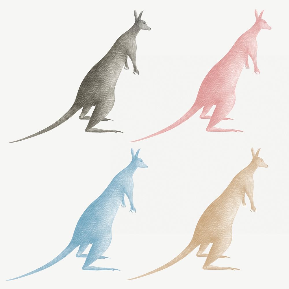 Colorful kangaroos vintage illustration set template