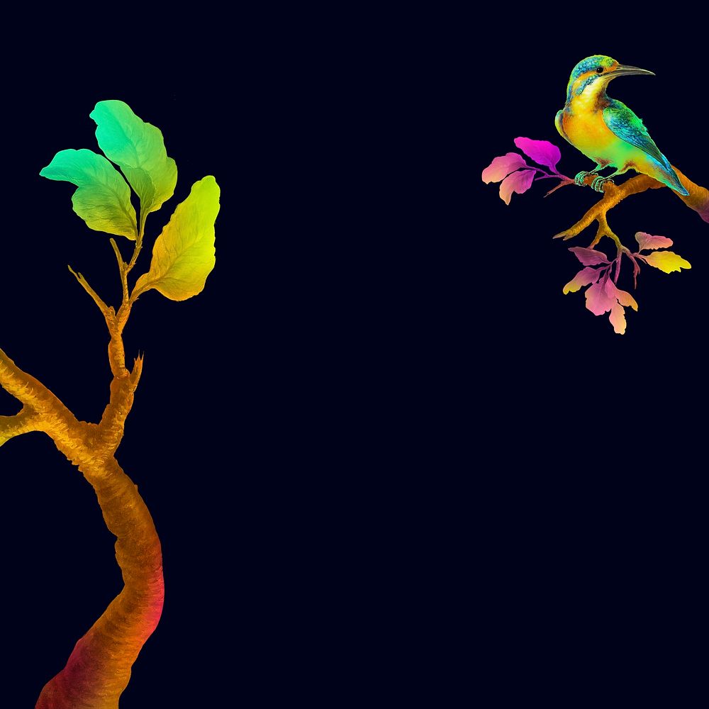 Colorful bird and leaves on black background template