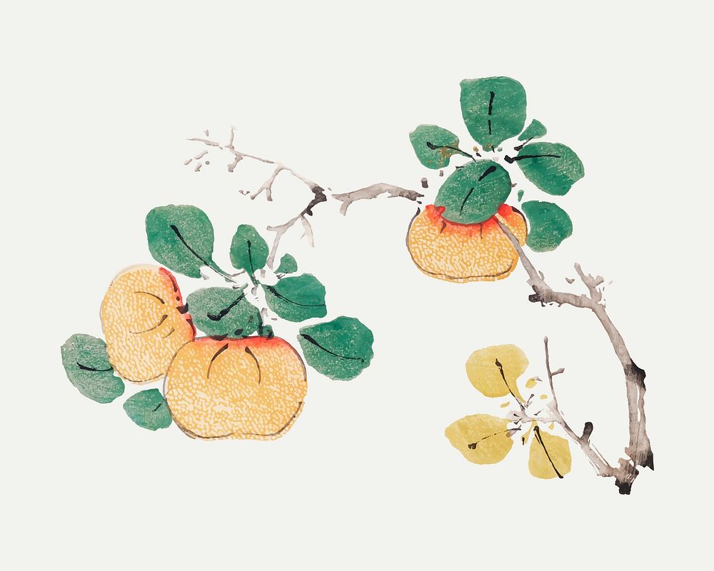 Fruit vector botanical art print, remixed from artworks by Hu Zhengyan