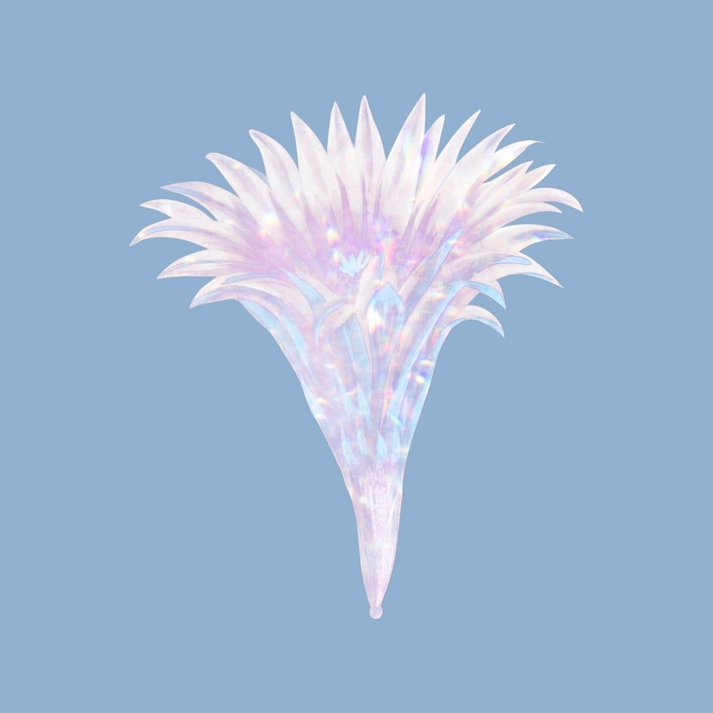 Holographic sun cup cactus flower design element