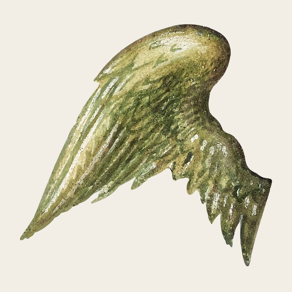 Green mythical wings vector ornament painting