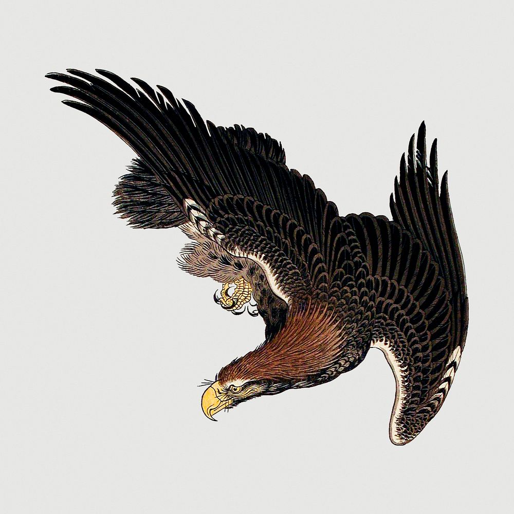 Vintage illustration of flying eagles on gray background
