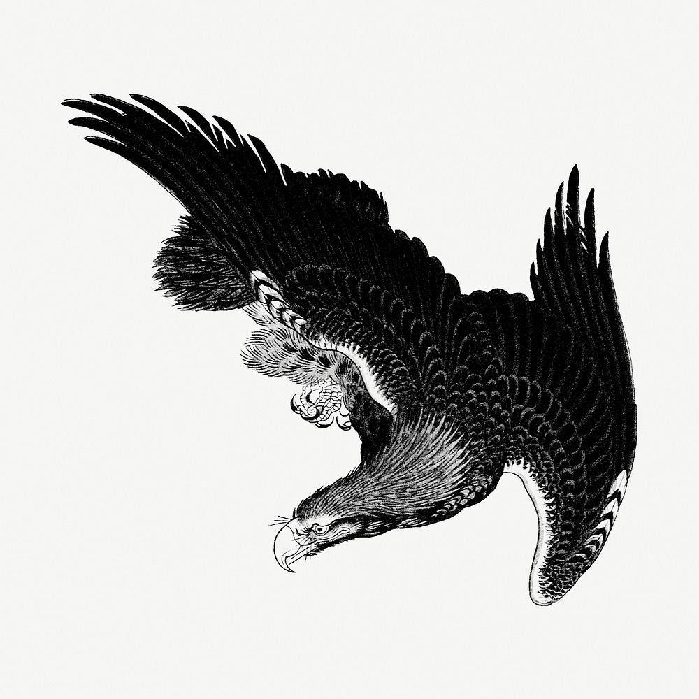 Vintage illustration of flying eagles on off white background