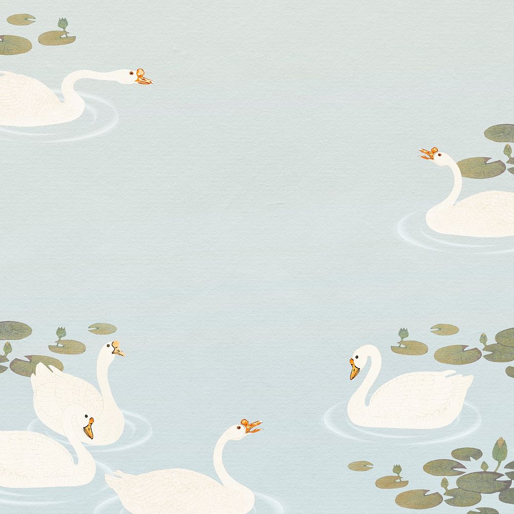 Swimming white geese in a lotus pond background illustration