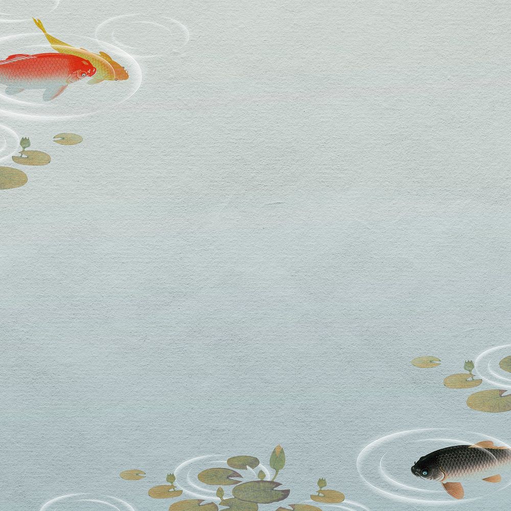 Swimming koi in a pond background illustration