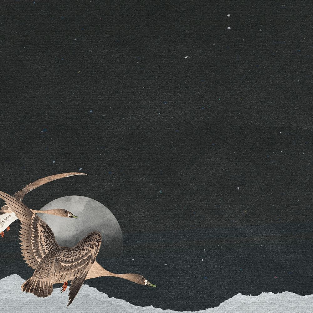 Flying geese in a full moon night background illustration