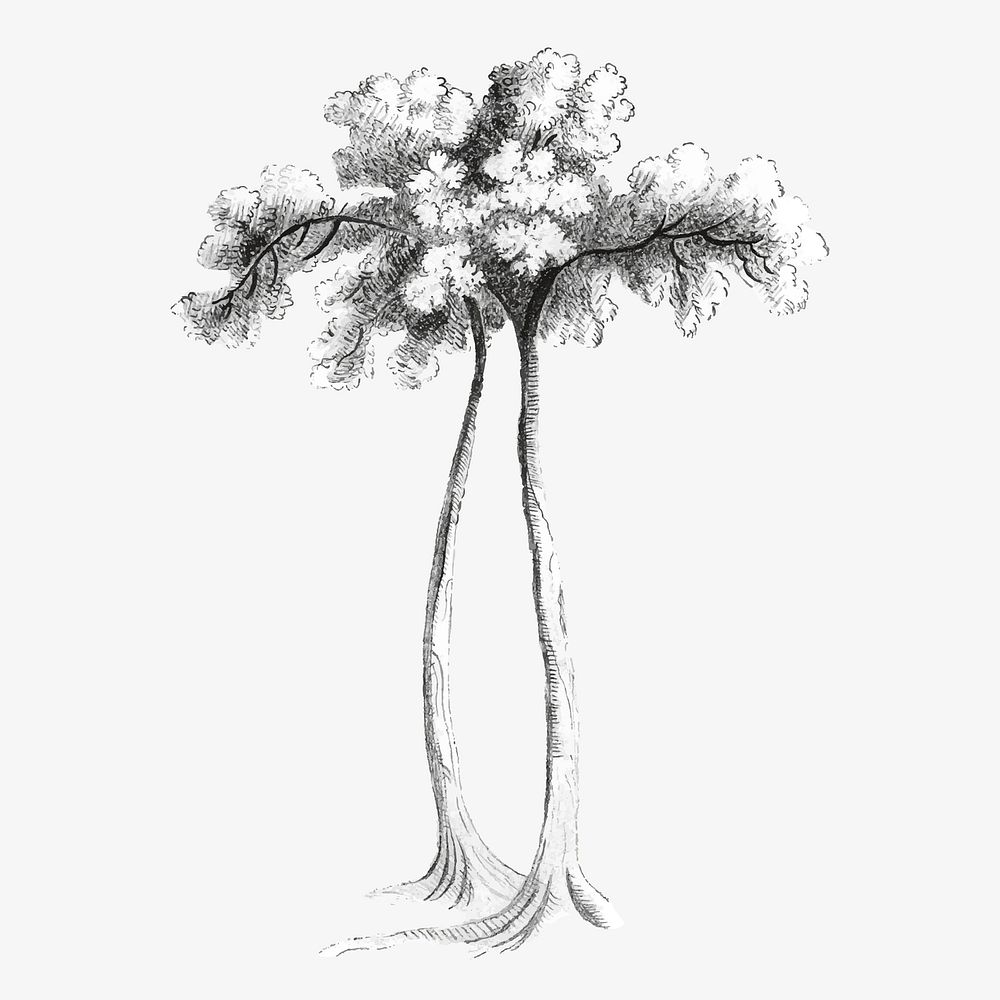 A tall tree vintage illustration vector