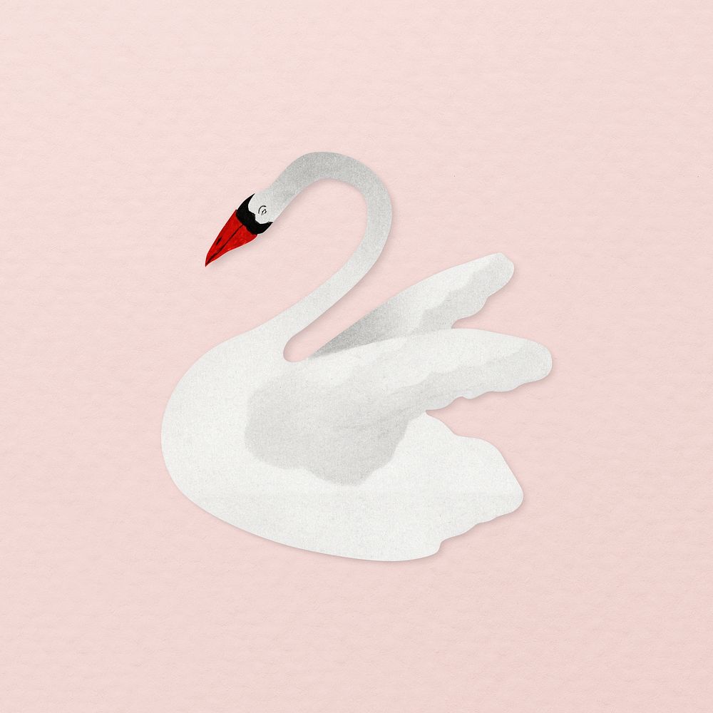 White swan vintage illustration