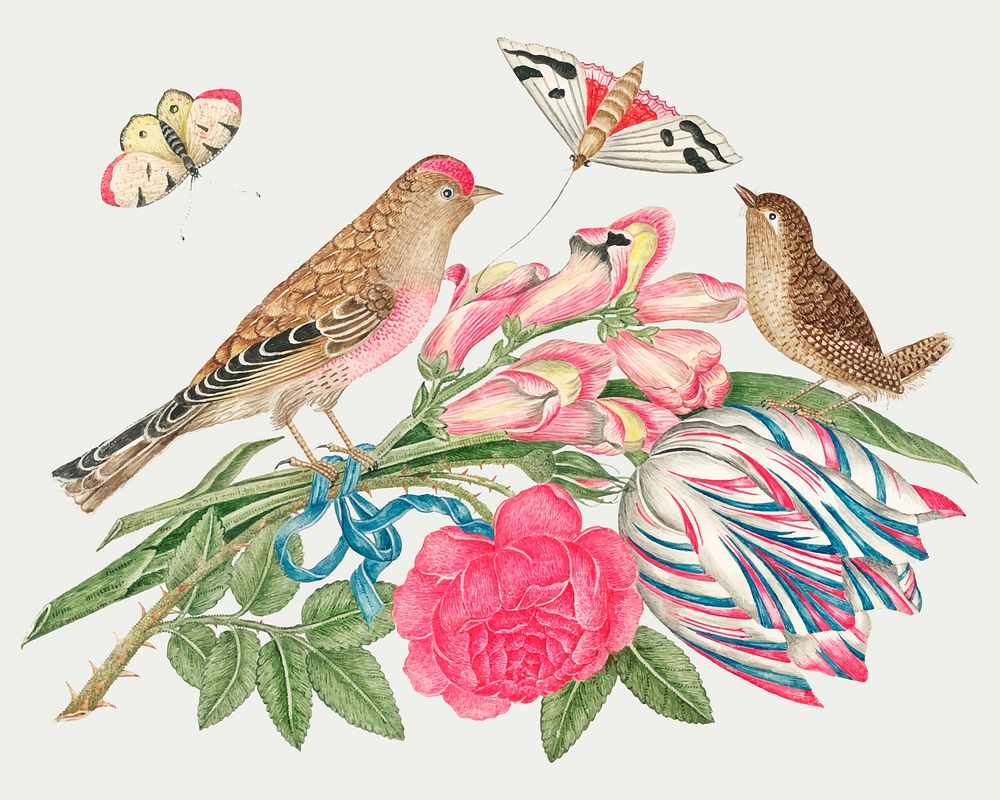 Vintage birds and flowers vector illustration, remixed from the 18th-century artworks from the Smithsonian archive.