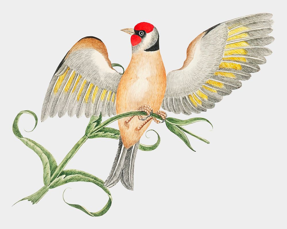 Brown bird on a branch vector, remixed from the 18th-century artworks from the Smithsonian archive.