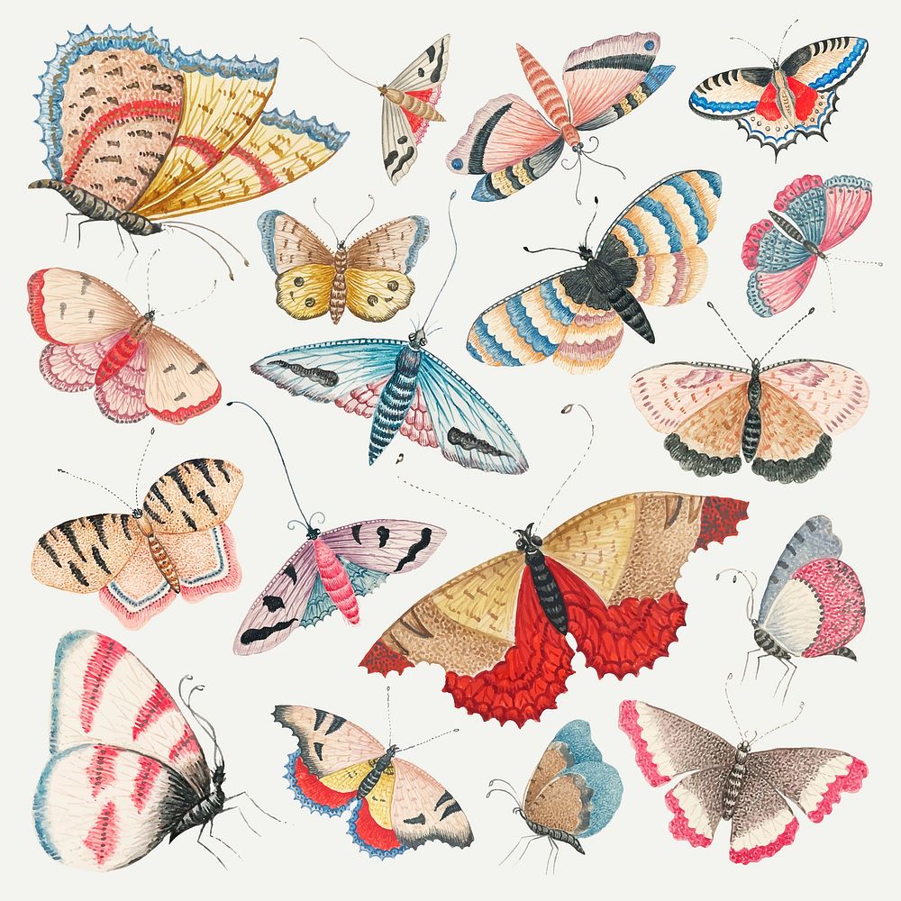 Vintage butterfly and moth watercolor illustration vector set, remixed from the 18th-century artworks from the Smithsonian…